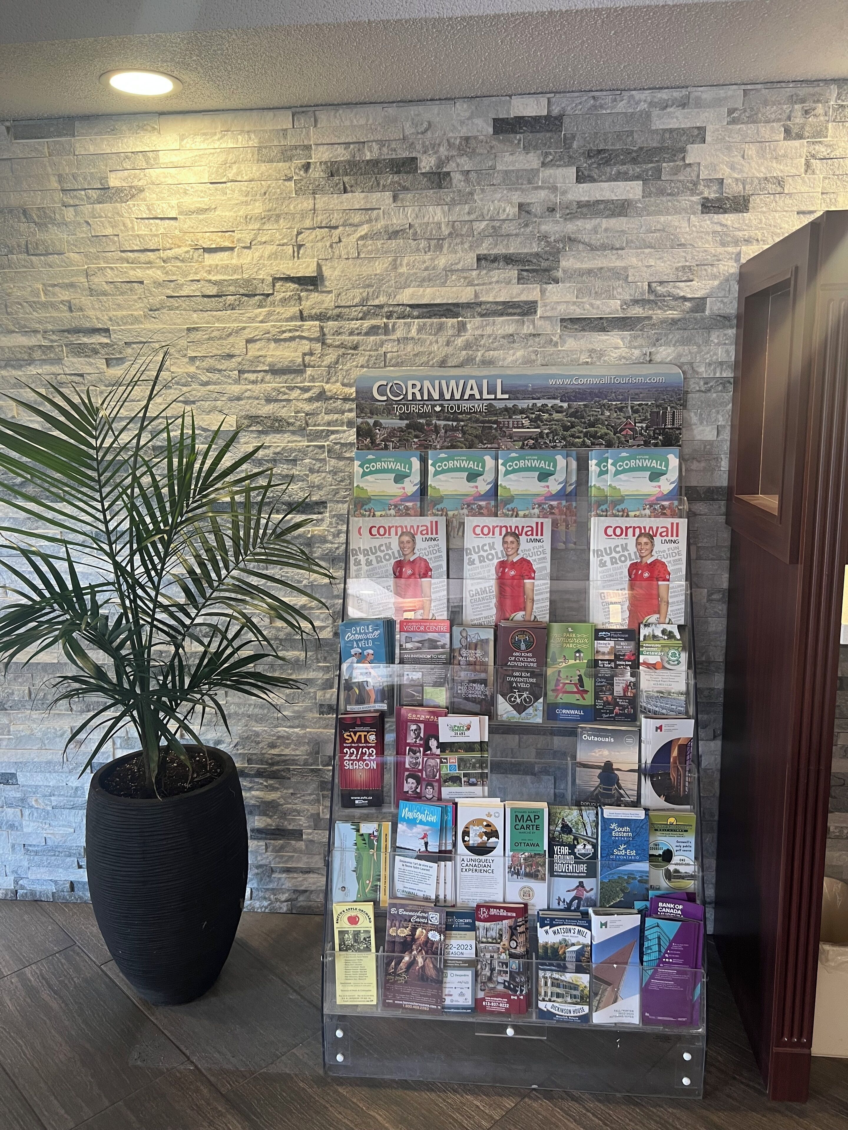 A bulletin board with various travel and informational pamphlets, a potted plant, and a stone wall background.