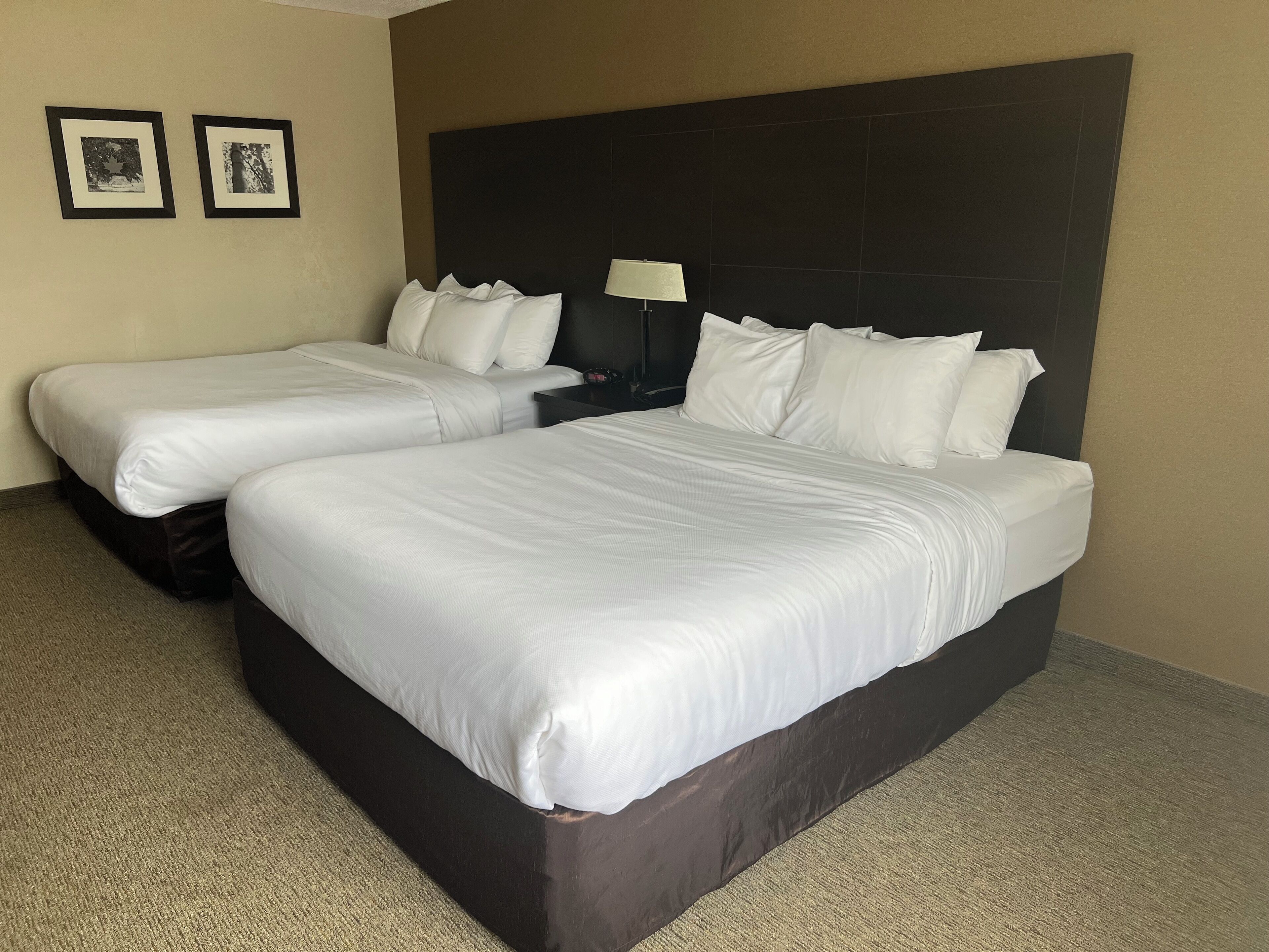 A hotel room with two single beds, a dark headboard, a nightstand with a lamp, and two framed pictures on the wall.