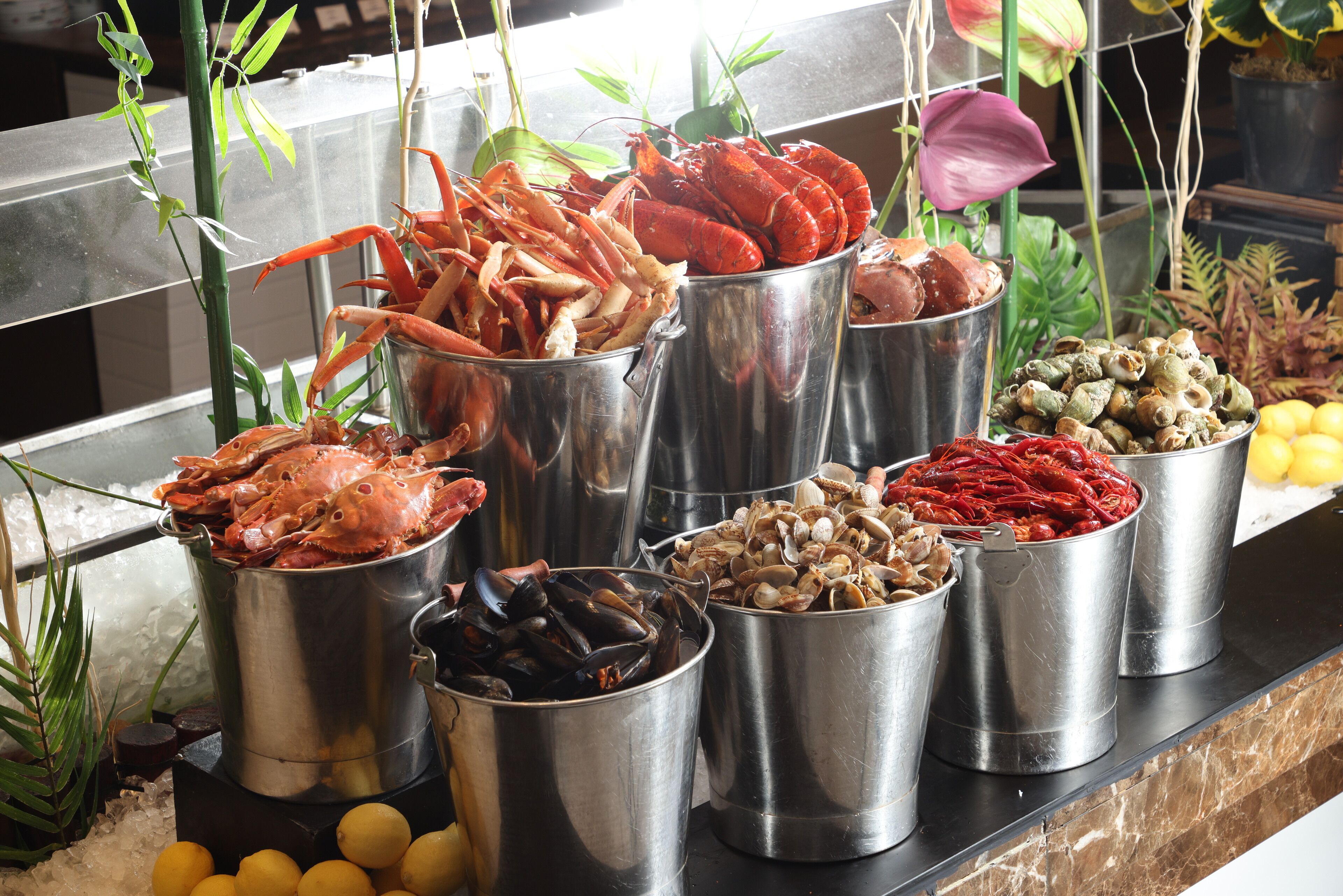 Photo - Marco Polo Hongkong Hotel