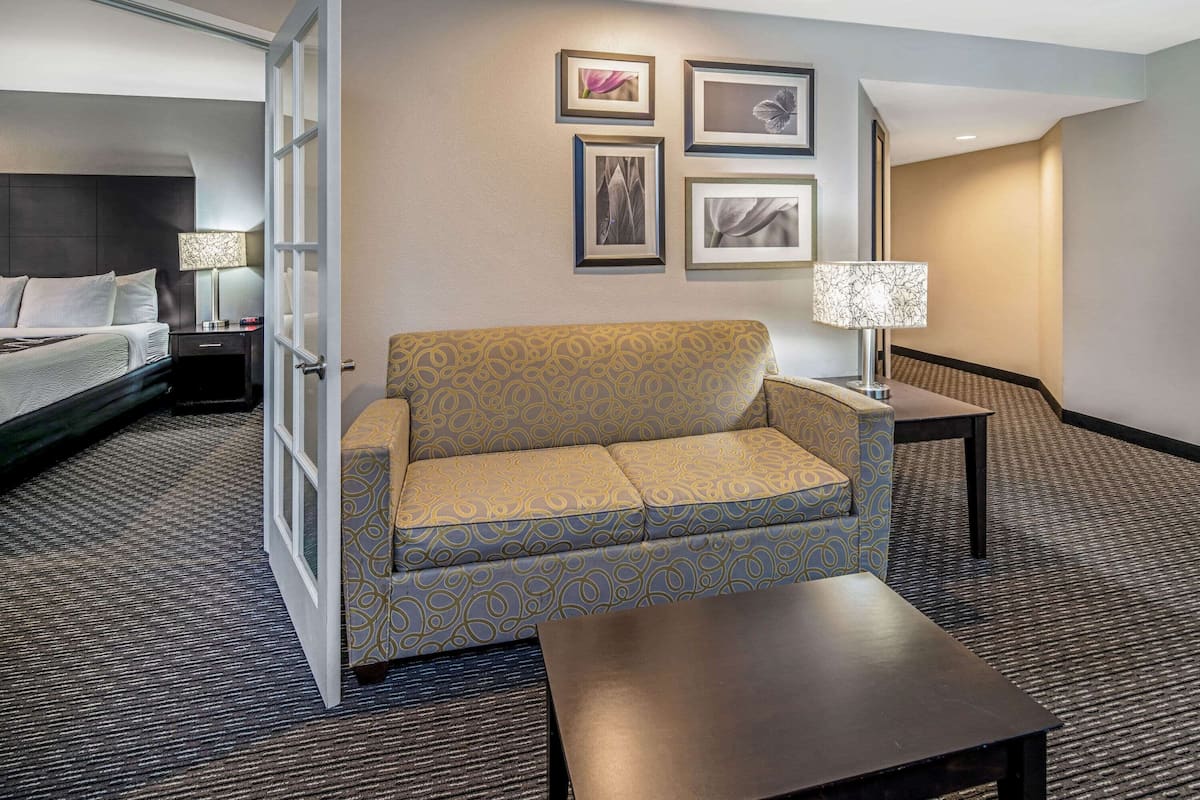 Suite, 1 King Bed, Accessible, Non Smoking (Mobility, Roll-in shower) | Premium bedding, desk, blackout drapes, iron/ironing board