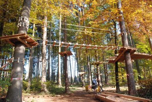 Ropes course (team building)