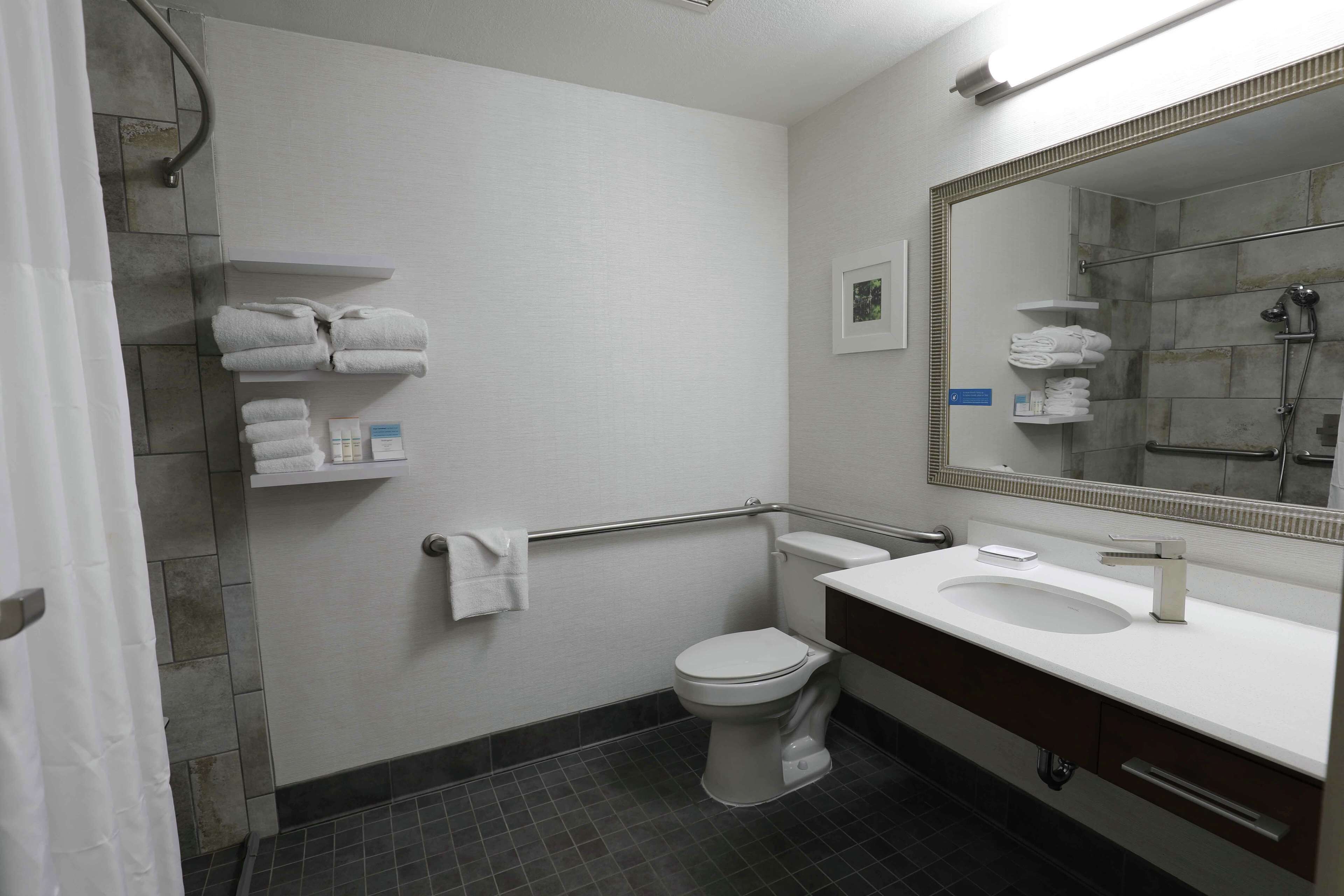 room, 1 king bed, accessible, non smoking | bathroom | free toiletries, hair dryer, towels