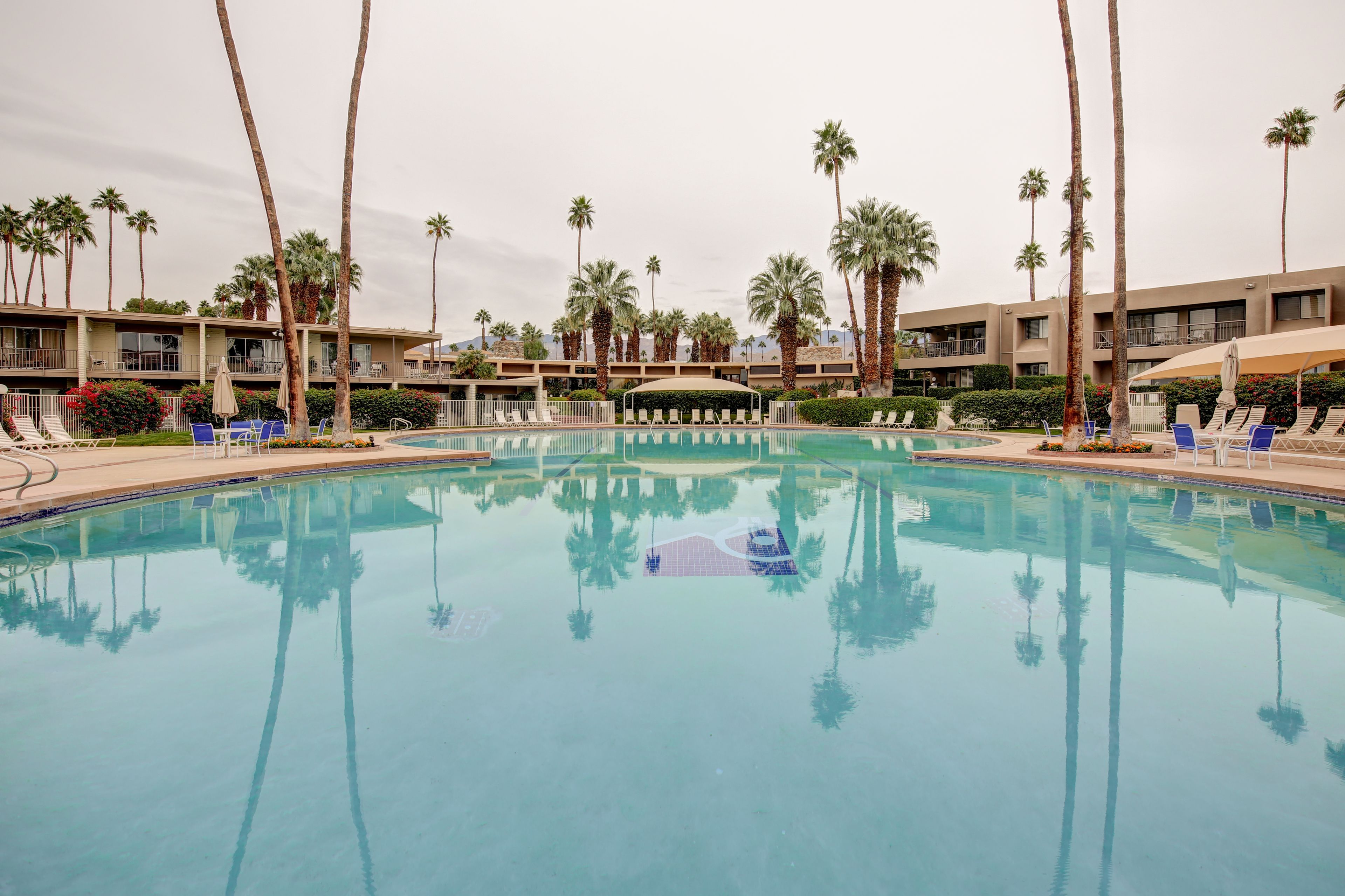 A swimming pool surrounded by palm trees and lounge chairs, with a building in the background.