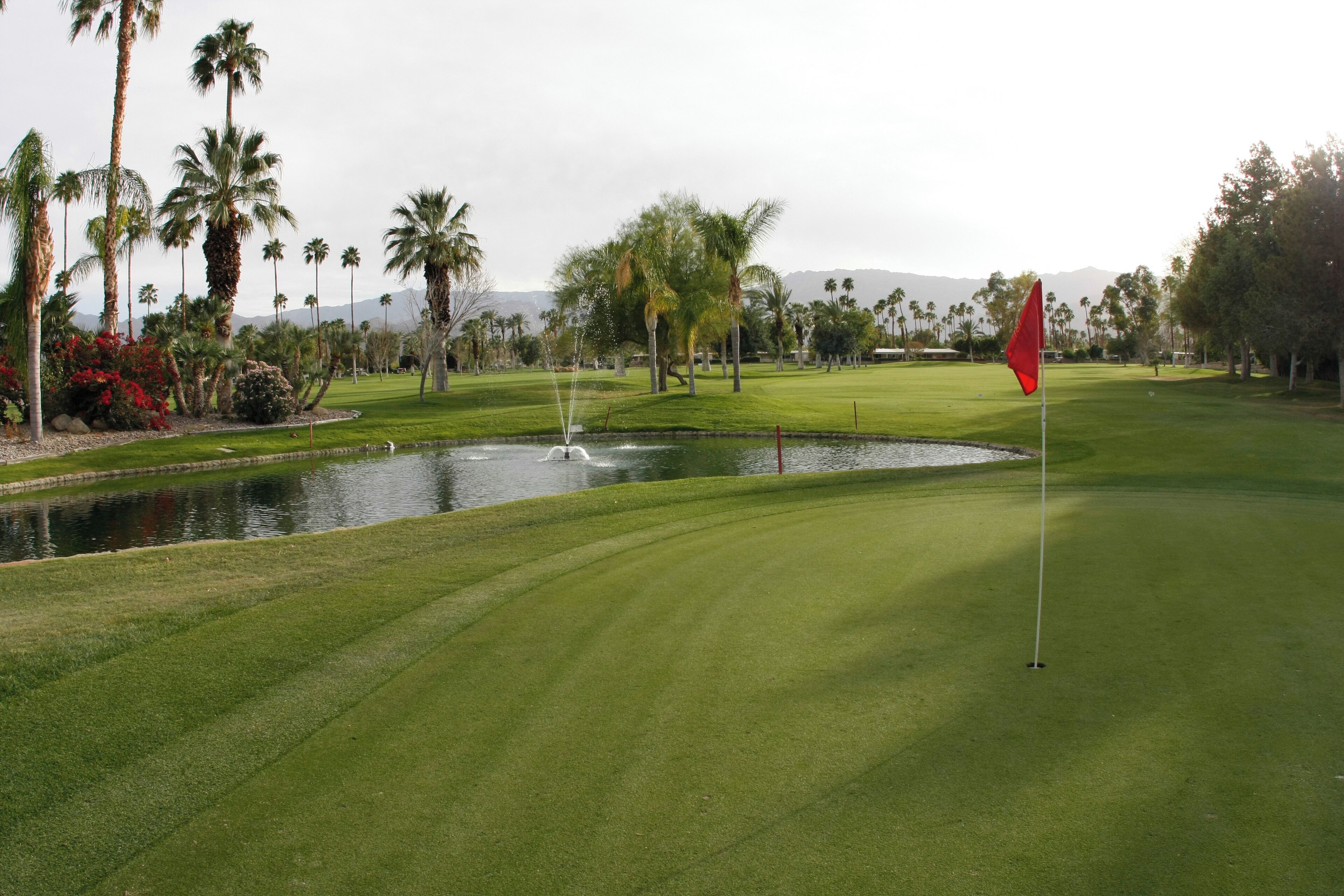 Un parcours de golf parfaitement entretenu, agrémenté d’un étang, de palmiers et d’un drapeau sur le green.