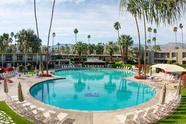 A large outdoor swimming pool surrounded by lounge chairs and umbrellas, with palm trees and a building in the background. - Shadow Mountain Resort (Palm Desert)
