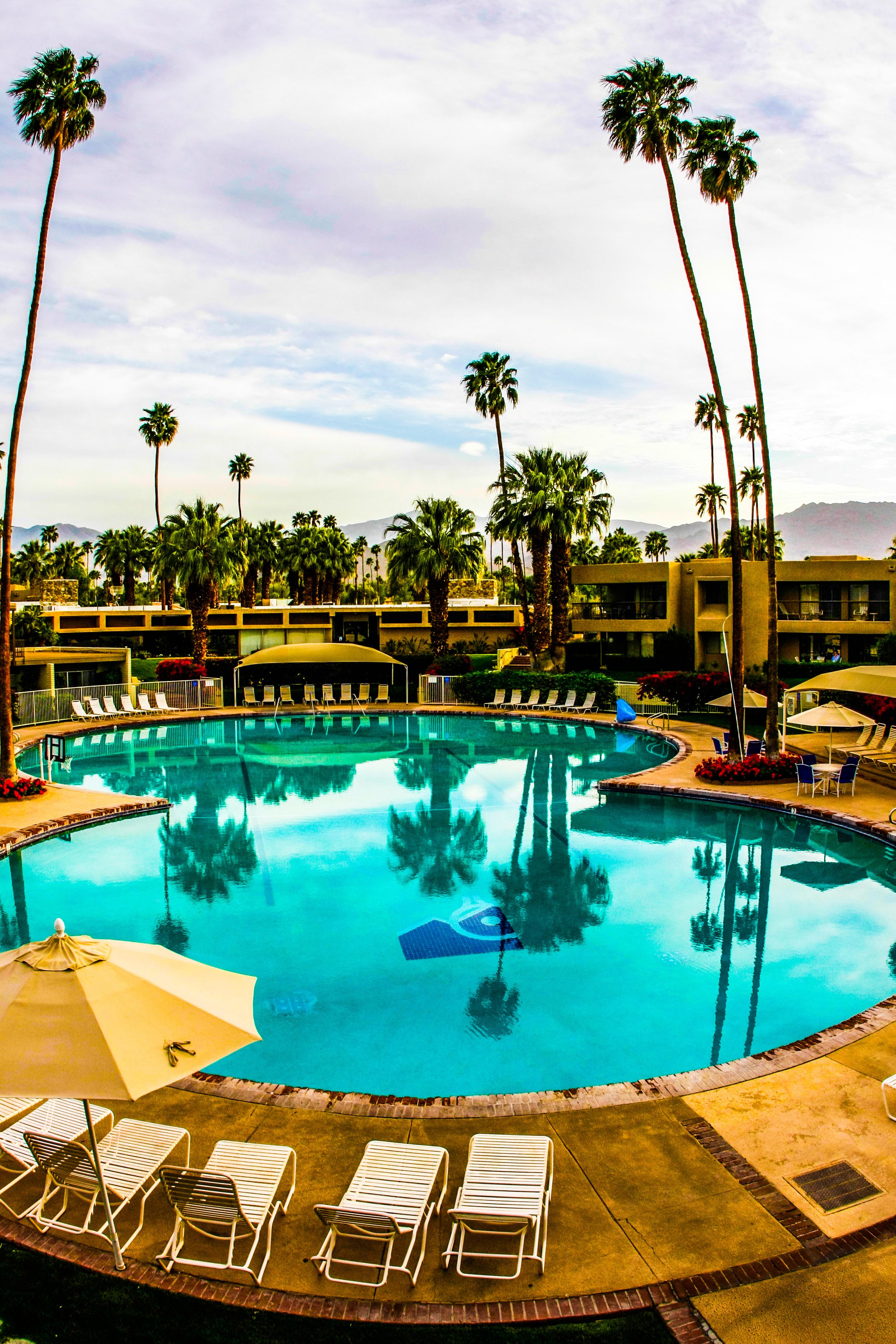 A pool with lounge chairs and umbrellas, surrounded by palm trees and a building with a curved roof.