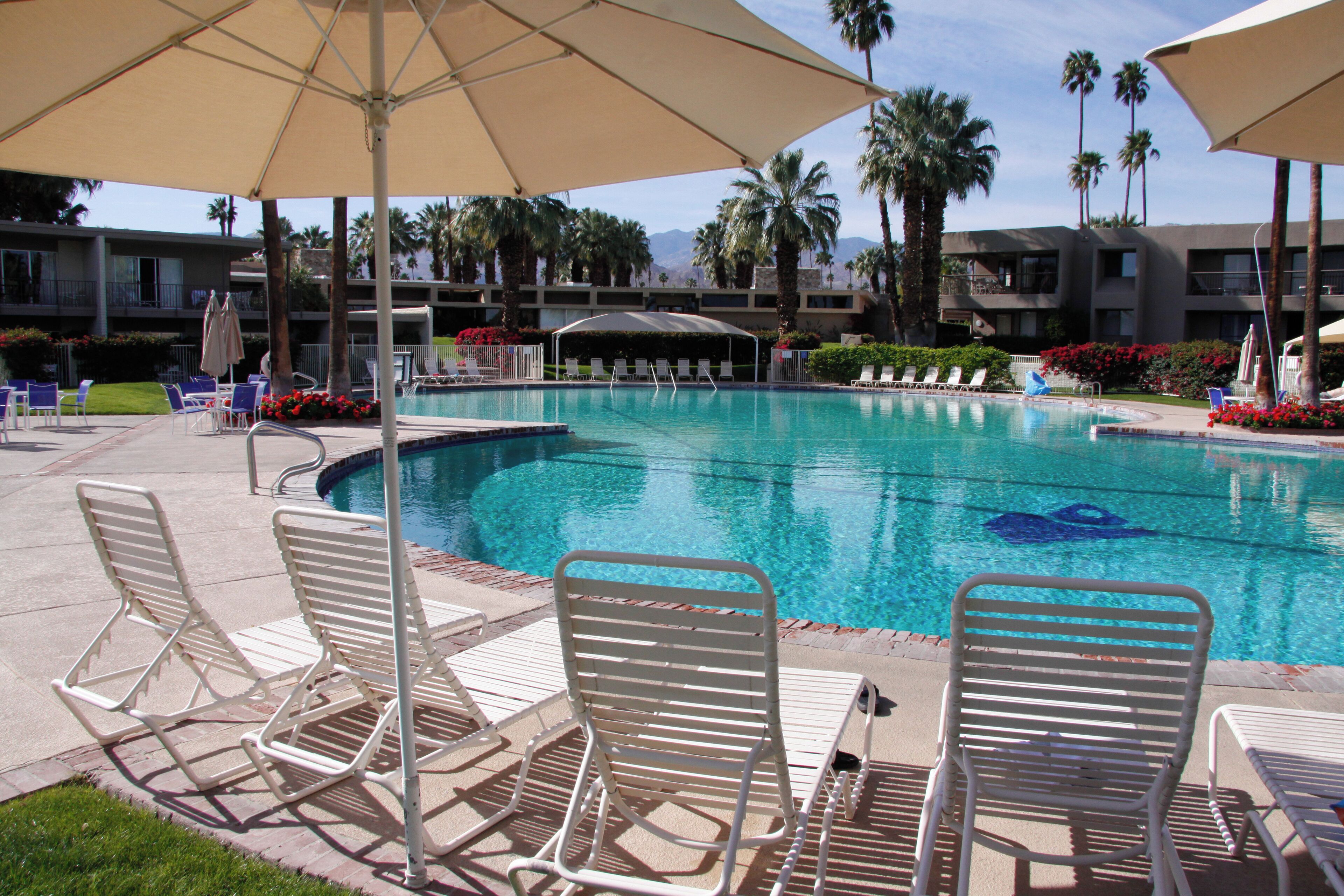 A pool area with lounge chairs and umbrellas, surrounded by palm trees and a building with balconies.