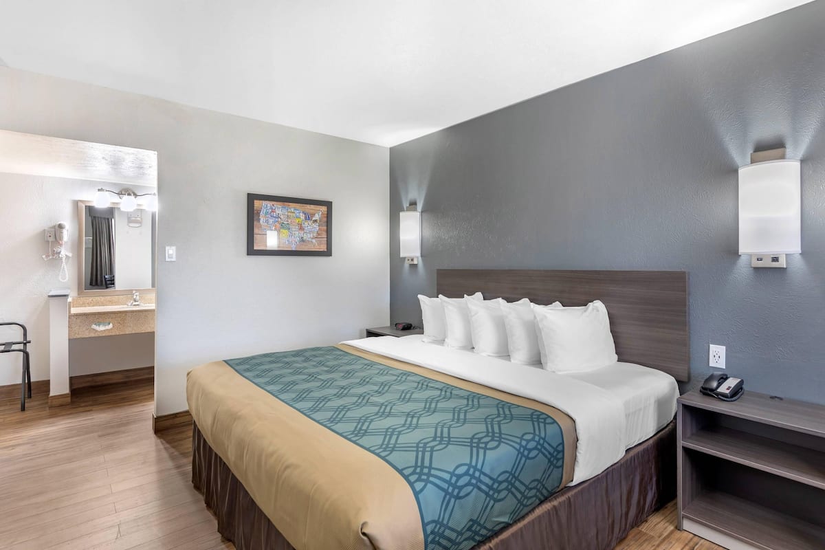 Room, 1 King Bed, Non Smoking | Down comforters, pillowtop beds, desk, blackout drapes
