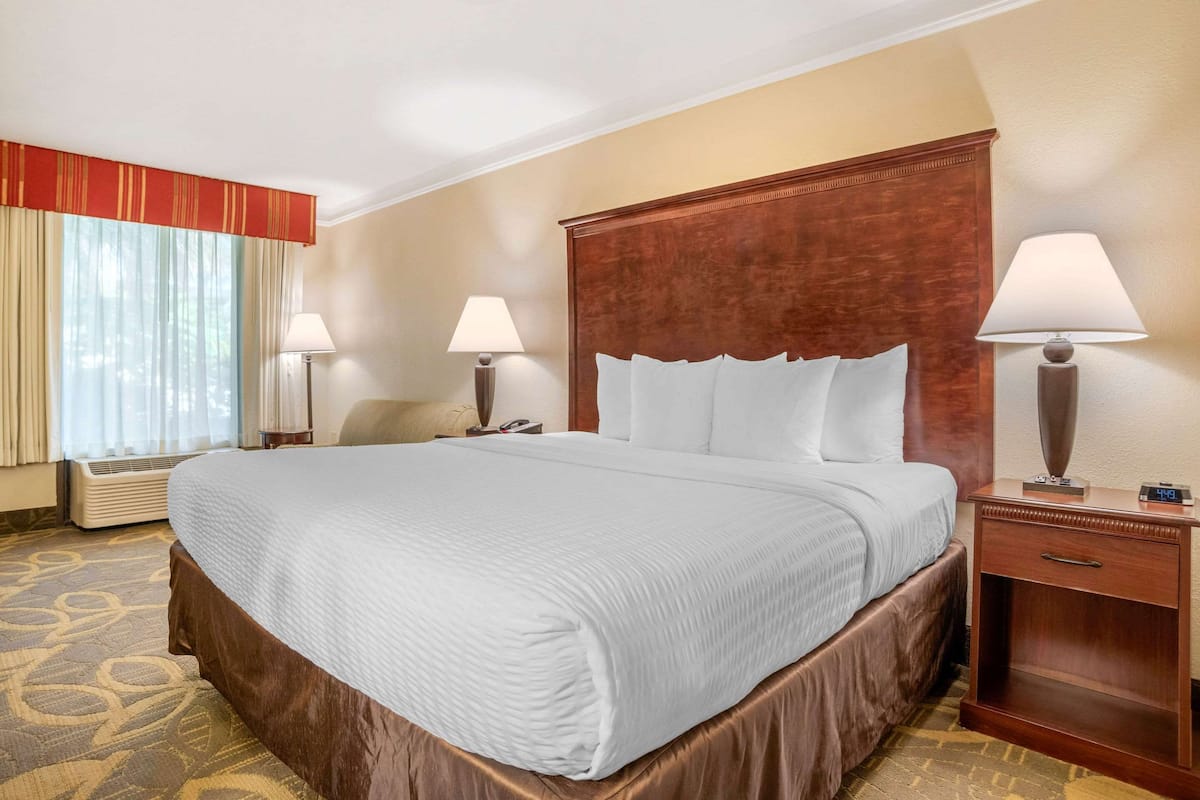 Room, 1 King Bed, Non Smoking (Pet Friendly) | Desk, blackout curtains, iron/ironing board, free cots/infant beds