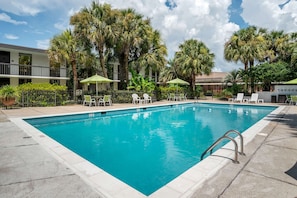 Seasonal outdoor pool, pool loungers