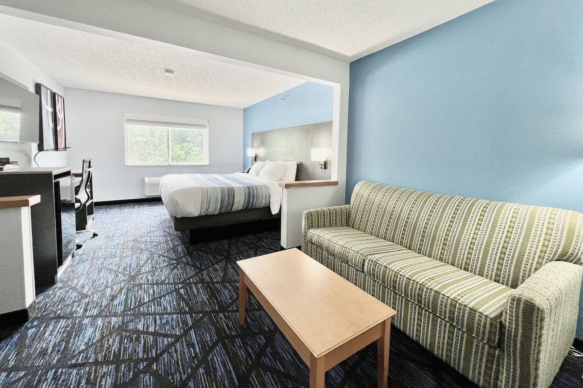 A hotel room with a bed, a sofa, a desk, and a window with a view of trees.