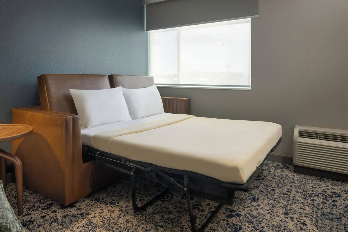 Suite, 1 King Bed with Sofa bed
