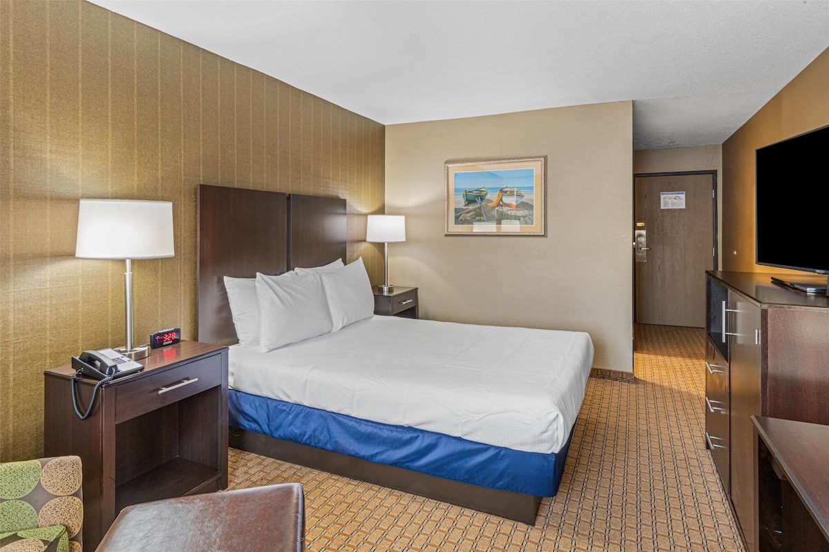 Standard Room, 1 Queen Bed, Accessible, Refrigerator & Microwave | In-room safe, desk, blackout drapes, iron/ironing board