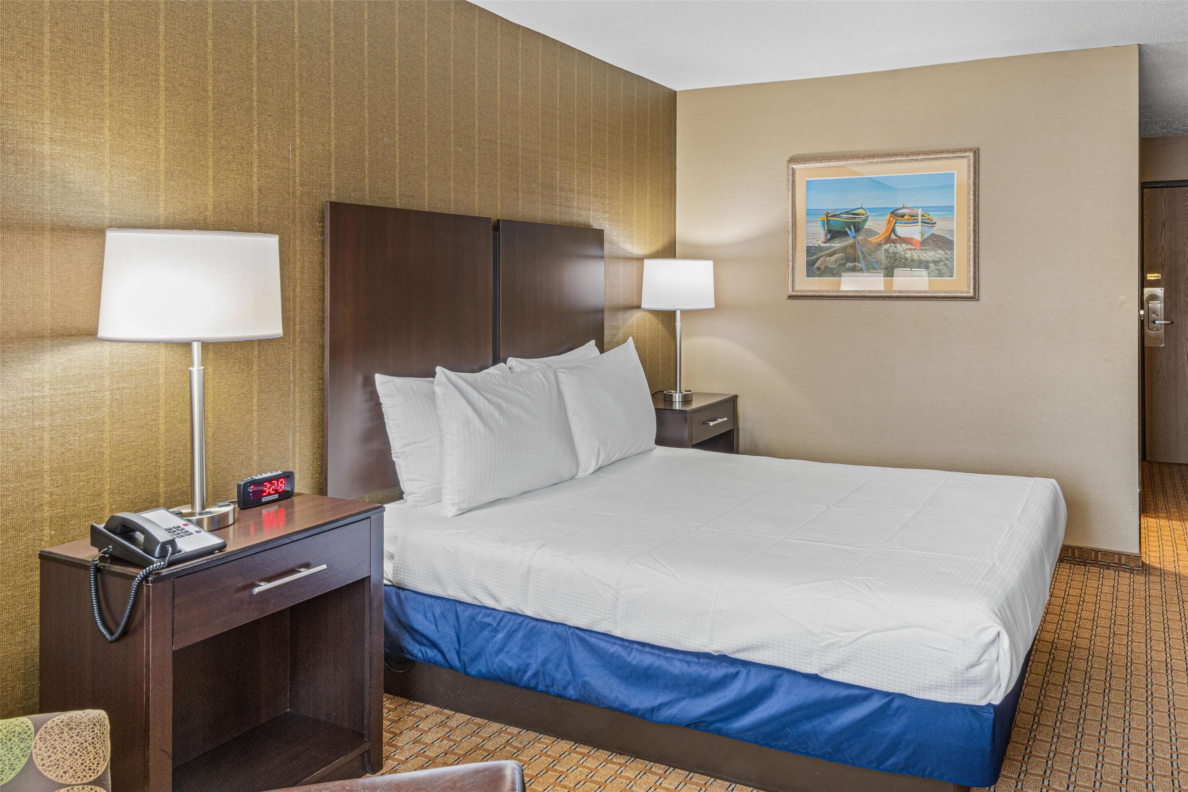 A hotel room with a large bed, two bedside tables with lamps, a nightstand with a phone, and a painting on the wall.