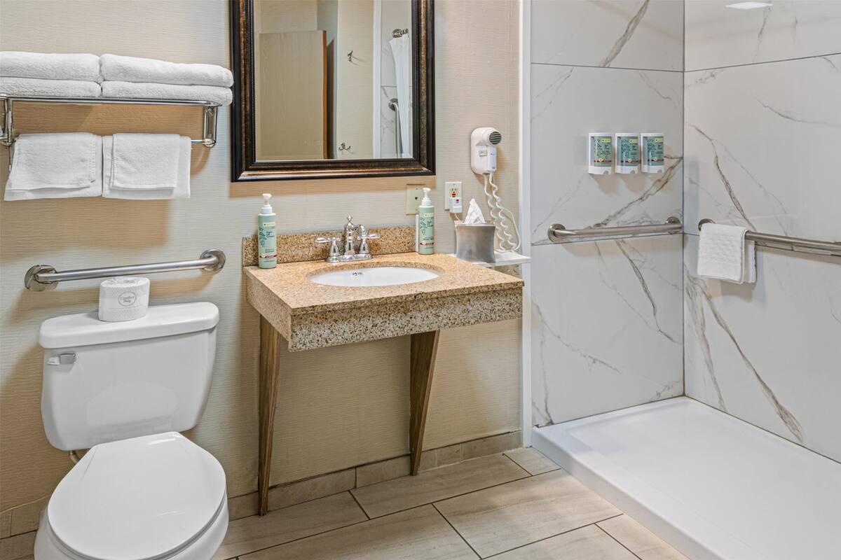 standard room, 1 queen bed, accessible, refrigerator & microwave | bathroom | combined shower/bathtub, free toiletries, hair dryer, towels
