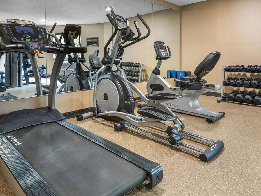 A gym with treadmills, elliptical machines, and a rack of dumbbells.