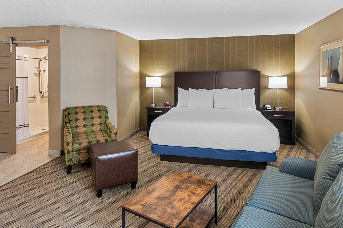 Suite, 1 King Bed, Accessible, Refrigerator & Microwave (with Sofabed) | In-room safe, desk, blackout drapes, iron/ironing board