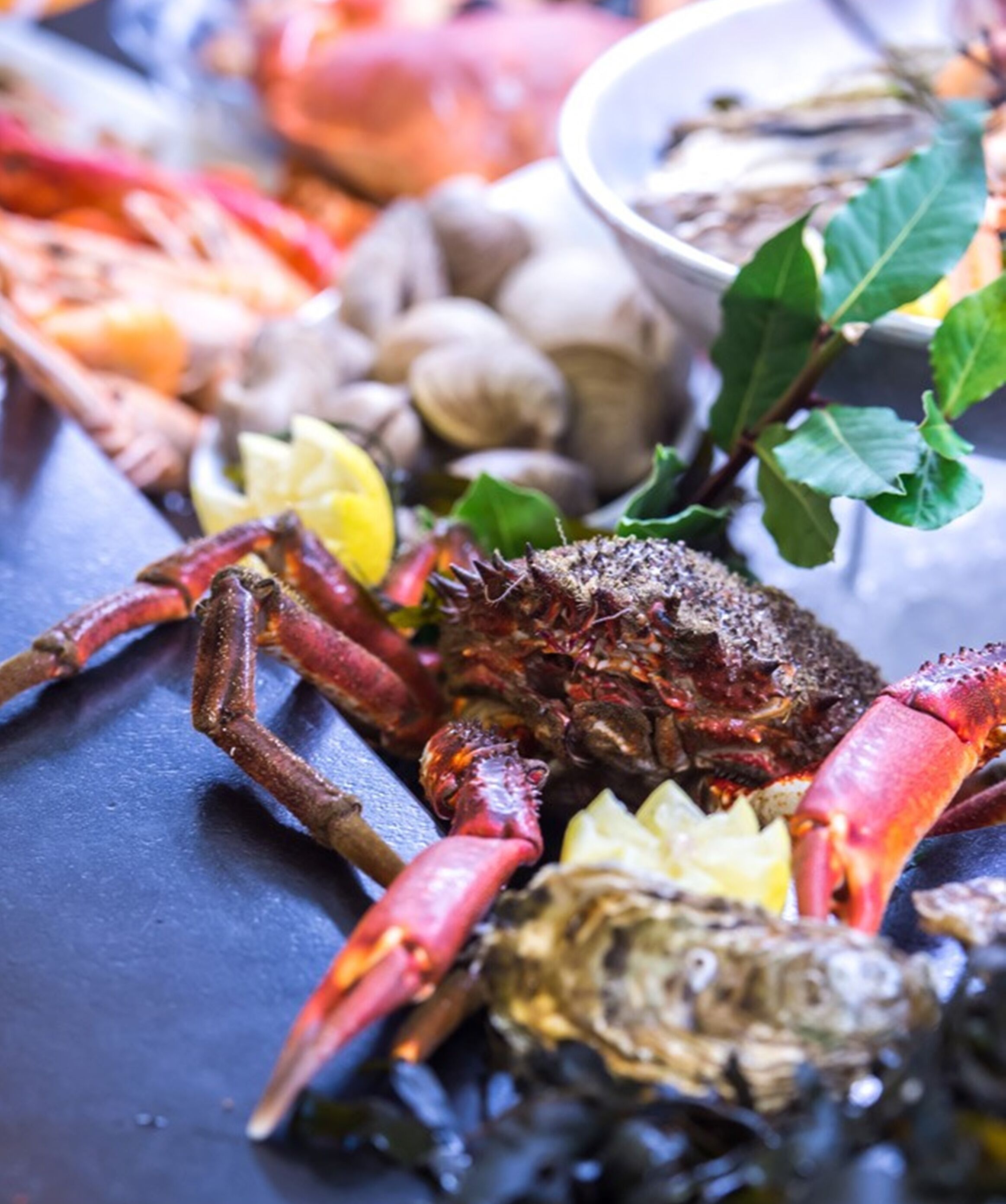 Une variété de fruits de mer, notamment du homard, des huîtres et des moules, ce qui laisse présager une expérience culinaire axée sur les produits de la mer.