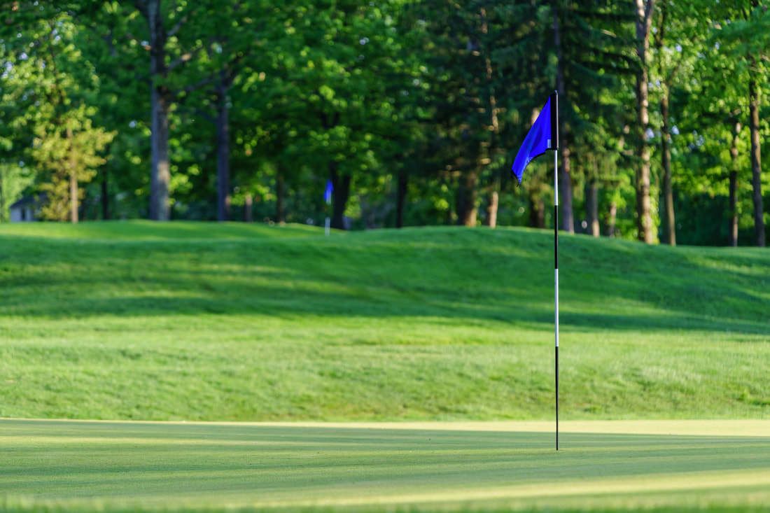 A golf course with a flagstick in the foreground and a forested background.