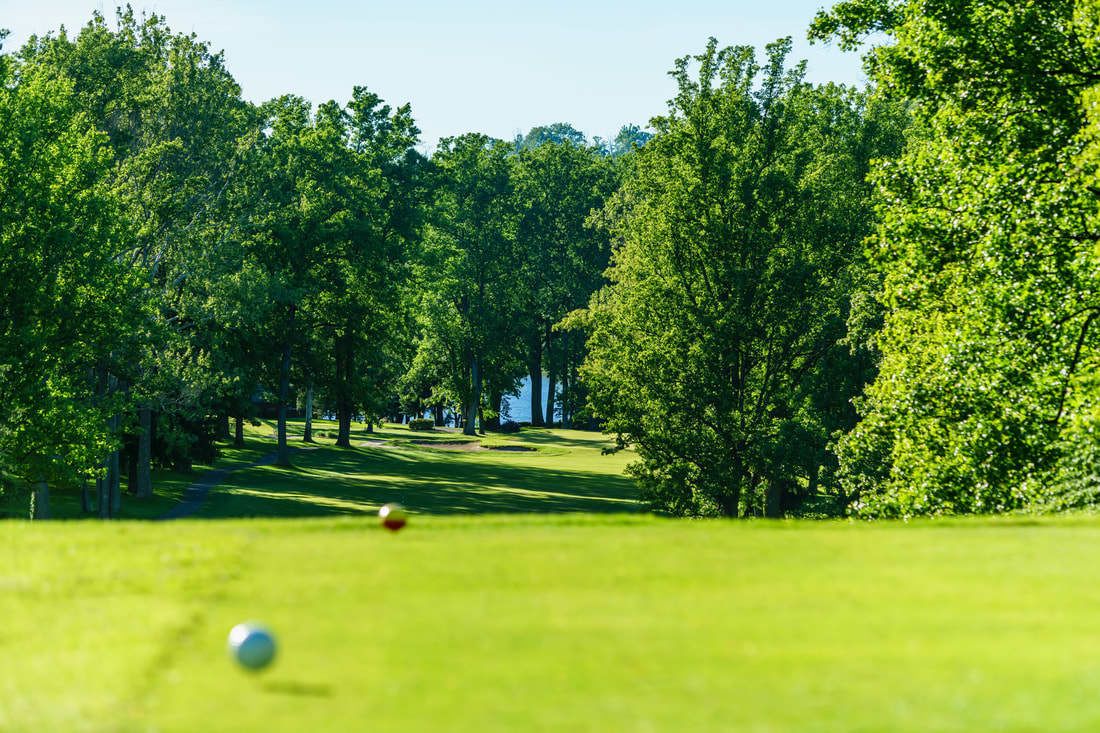 A golf course with a clear path, trees, and a golf ball in the foreground.
