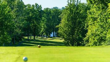 A golf course with a clear path, trees, and a golf ball in the foreground.