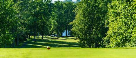 A golf course with a clear path, trees, and a golf ball in the foreground.
