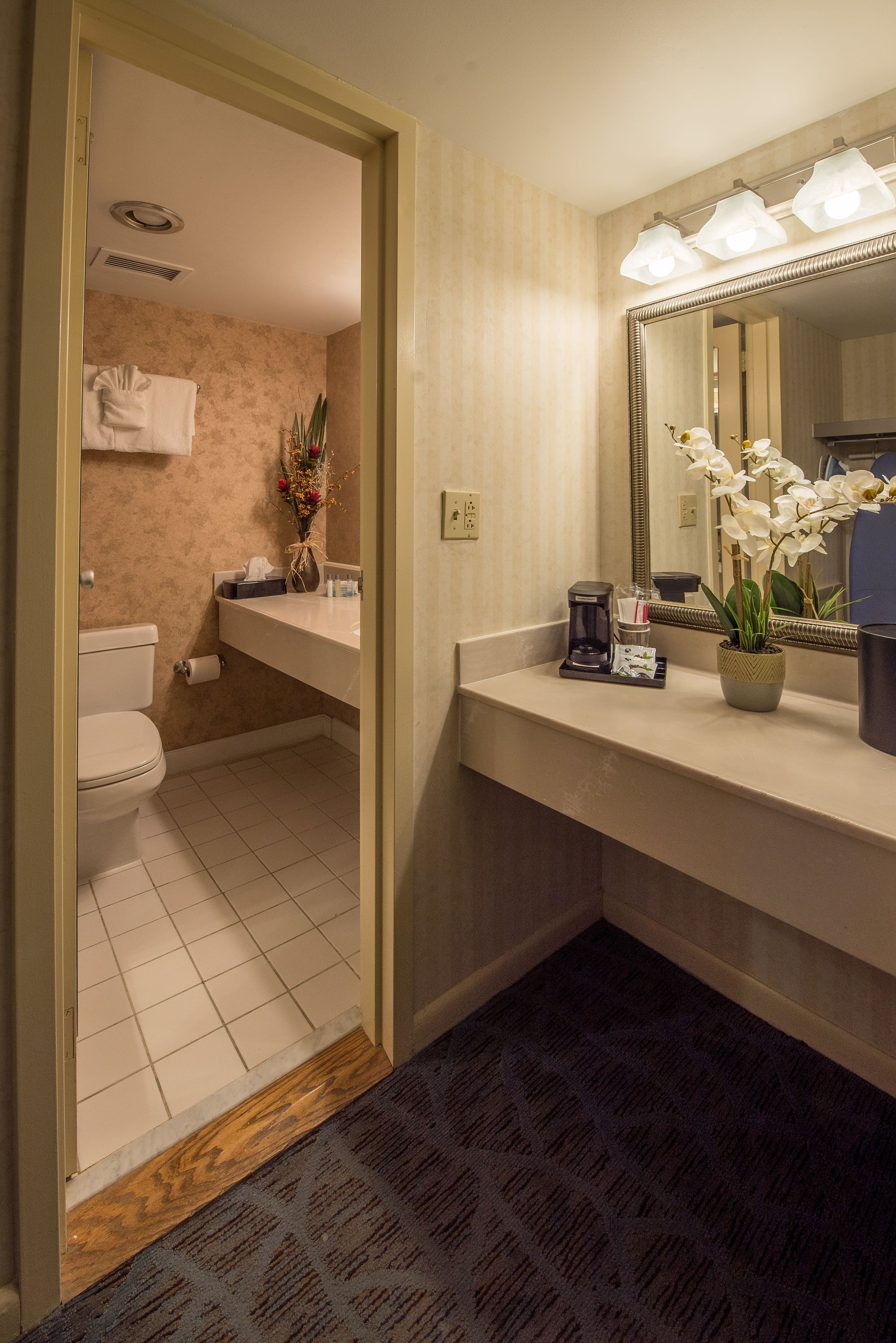 Un baño de hotel con inodoro, lavabo y espejo.