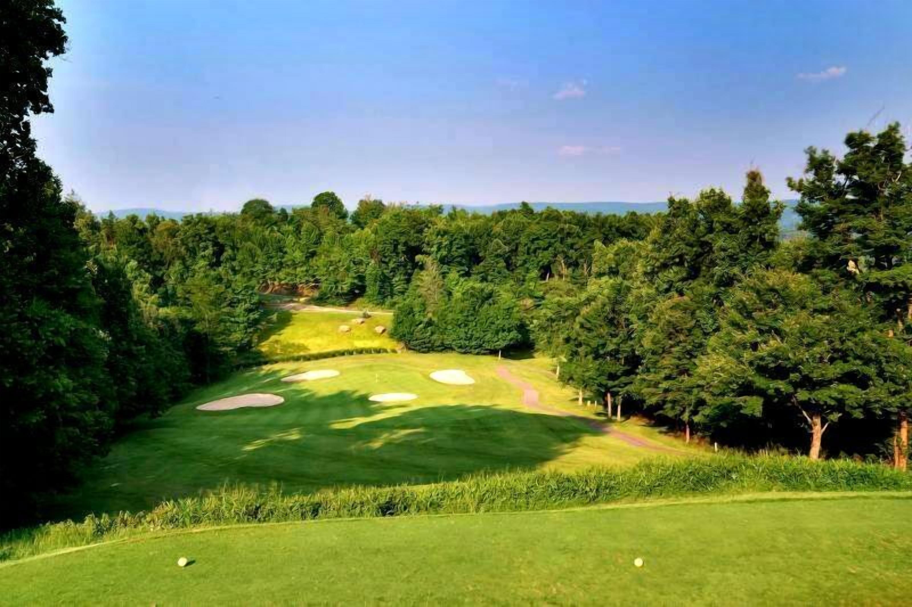 Um campo de golfe com um caminho bem definido, armadilhas de areia e árvores densas.