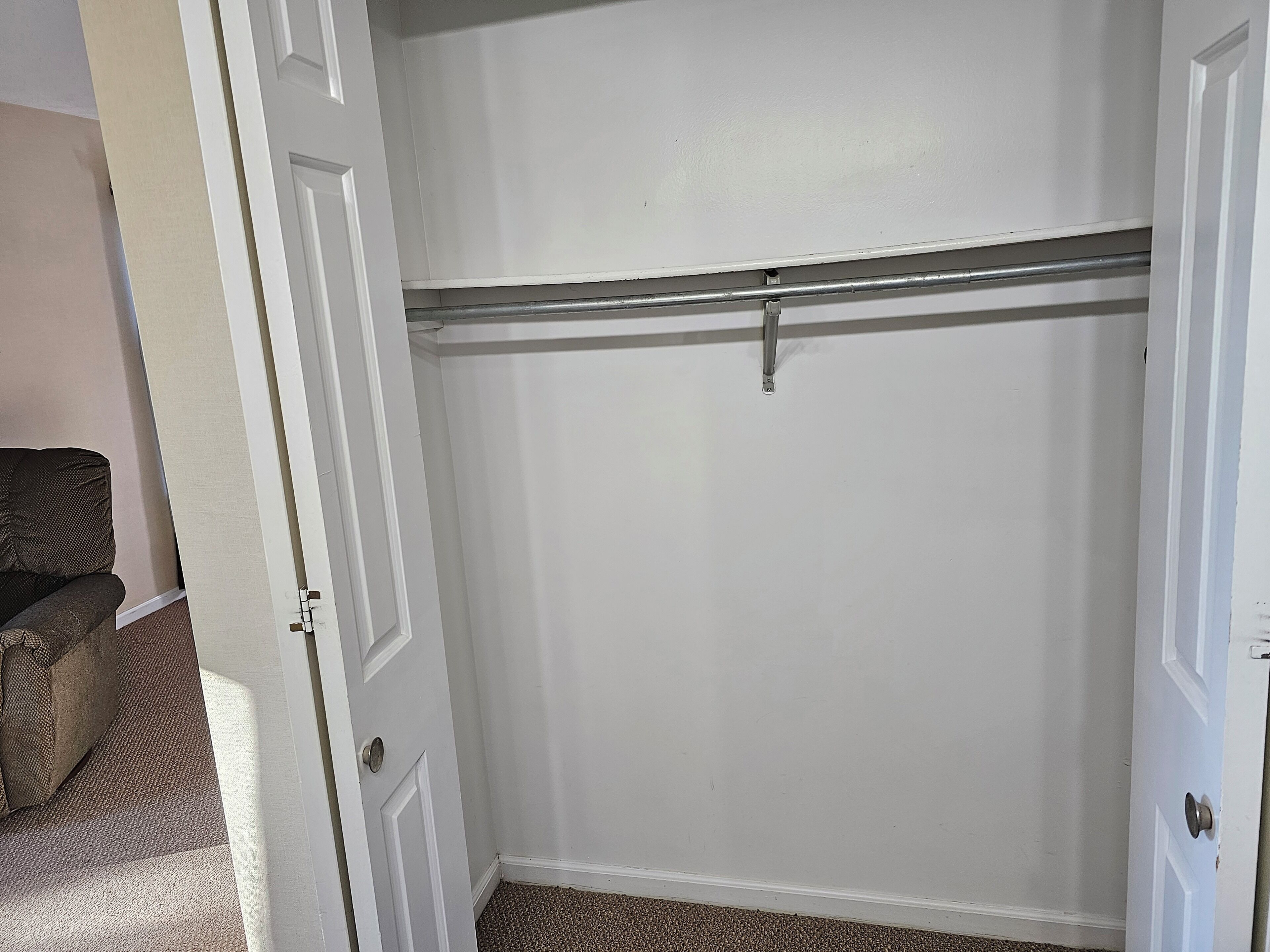 A closed closet with a metal rod, a door with a silver handle, and a carpeted floor.