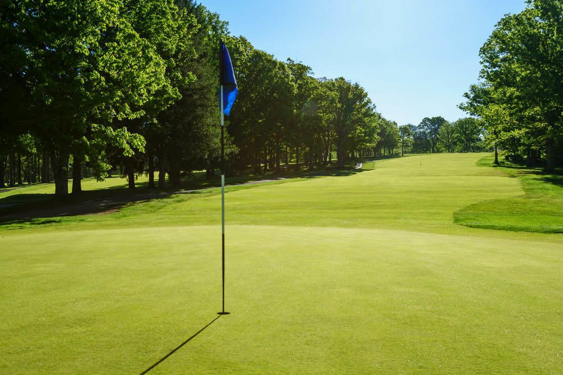 A golf course with a flagstick, surrounded by trees and a clear sky.