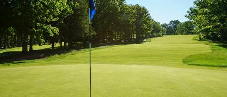 A golf course with a flagstick, surrounded by trees and a clear sky.