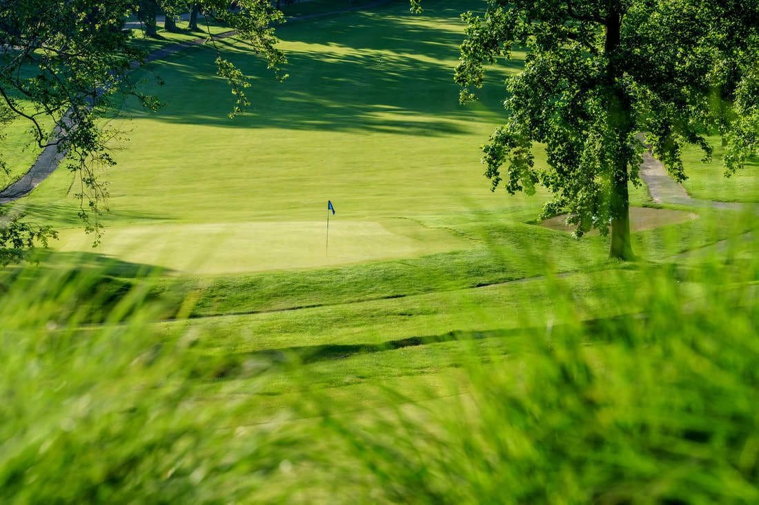 A golf course with a flagstick in the center, surrounded by lush green grass and trees.