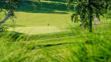 A golf course with a flagstick in the center, surrounded by lush green grass and trees.