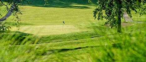 A golf course with a flagstick in the center, surrounded by lush green grass and trees.
