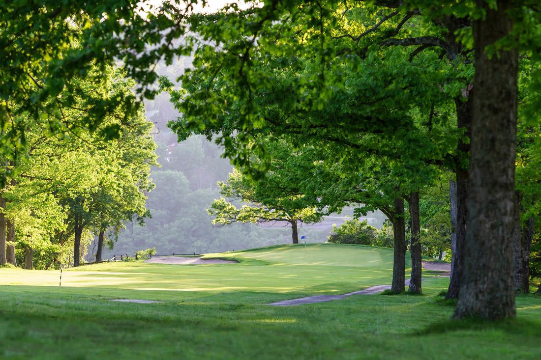 Un parcours de golf avec des arbres et un drapeau sur un green.