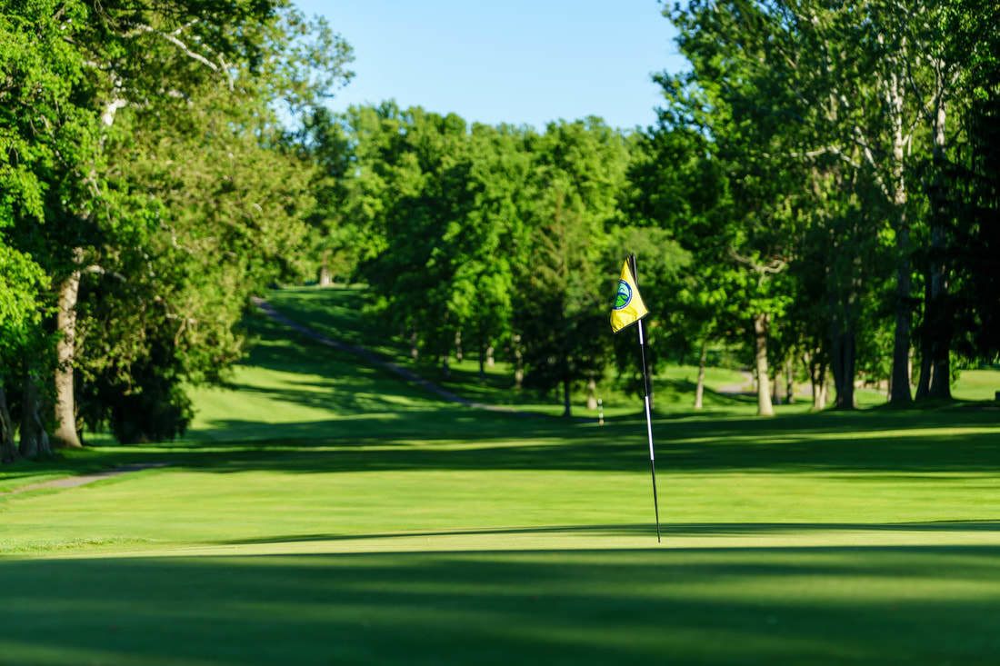 A golf course with a flagstick in the foreground, surrounded by lush green trees.