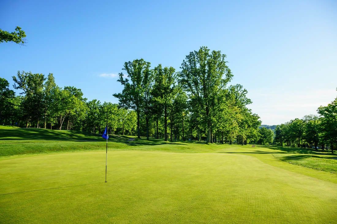 Campo de golf con un mástil de bandera, rodeado de árboles y un cielo despejado.