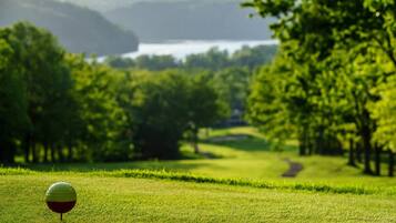 A golf ball on a well-maintained green with a lake and trees in the background.