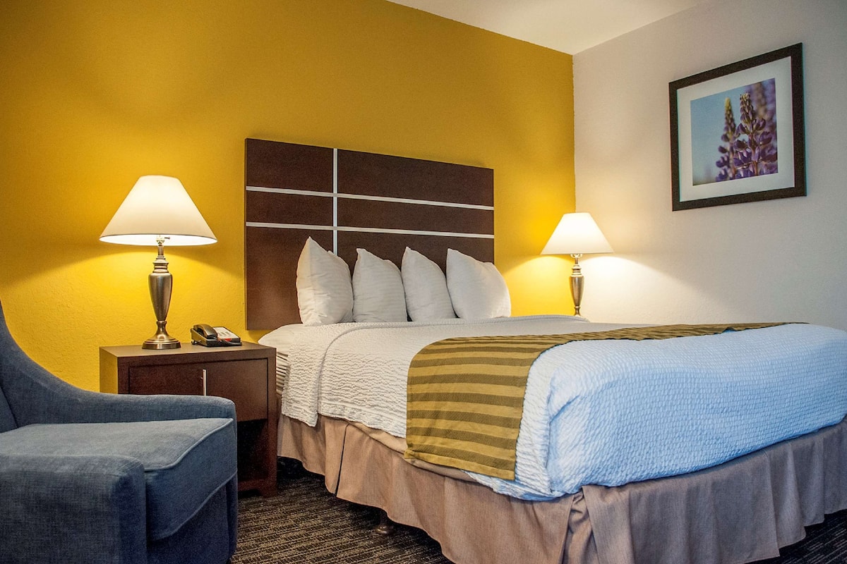 standard room, 1 queen bed, non smoking, refrigerator | in-room safe, iron/ironing board, free wifi, bed sheets