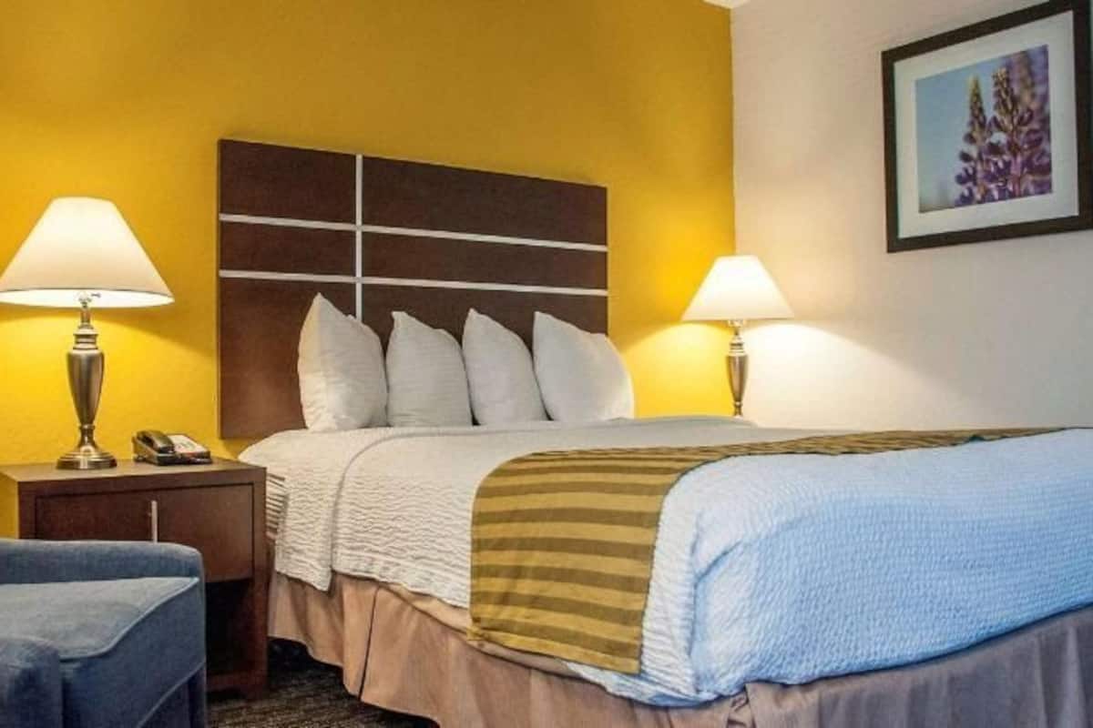 Cofres nos quartos, ferros/tábuas de passar roupa, Wi-Fi de cortesia