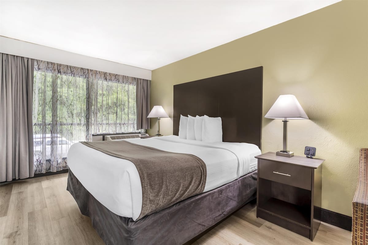 Standard Room, 1 King Bed, Non Smoking, Refrigerator & Microwave (with Sofabed) | In-room safe, desk, laptop workspace, soundproofing