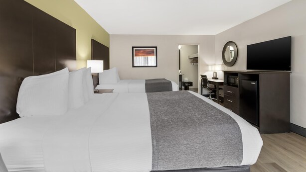 Une chambre d’hôtel équipée d’un lit, d’un bureau, d’une télévision et d’un four à micro-ondes.