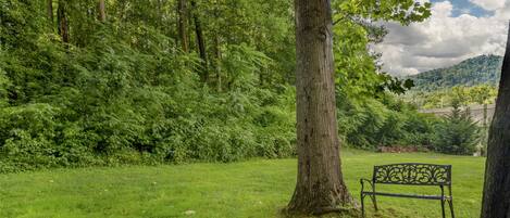 A park with a bench surrounded by trees and grass.