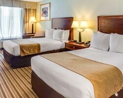 Escritorio, sistema de insonorización y tabla de planchar con plancha 