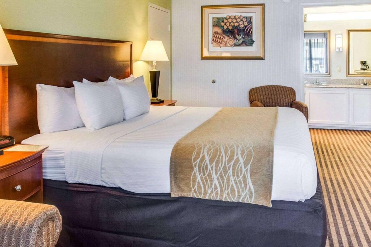A hotel room with a large bed, a bedside table with a lamp, a chair, a desk with a mirror, and a framed picture on the wall.