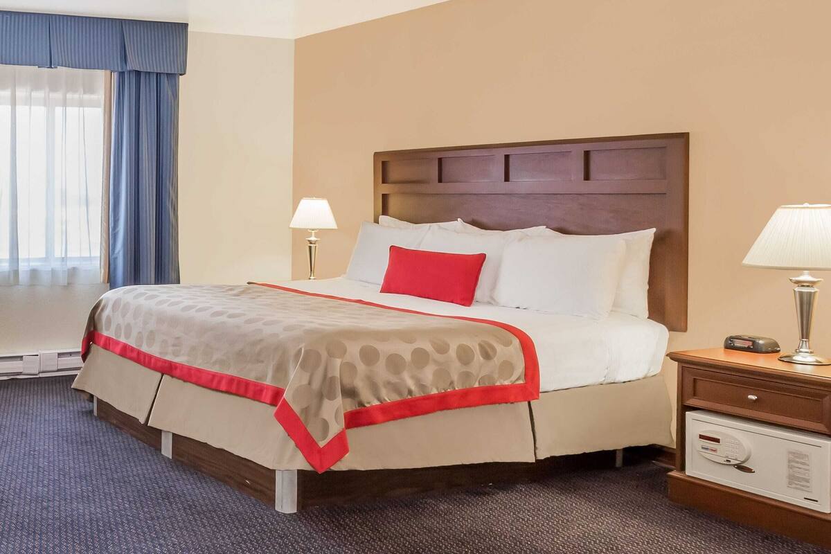 A hotel room with a bed, a nightstand, a lamp, and a window with curtains.