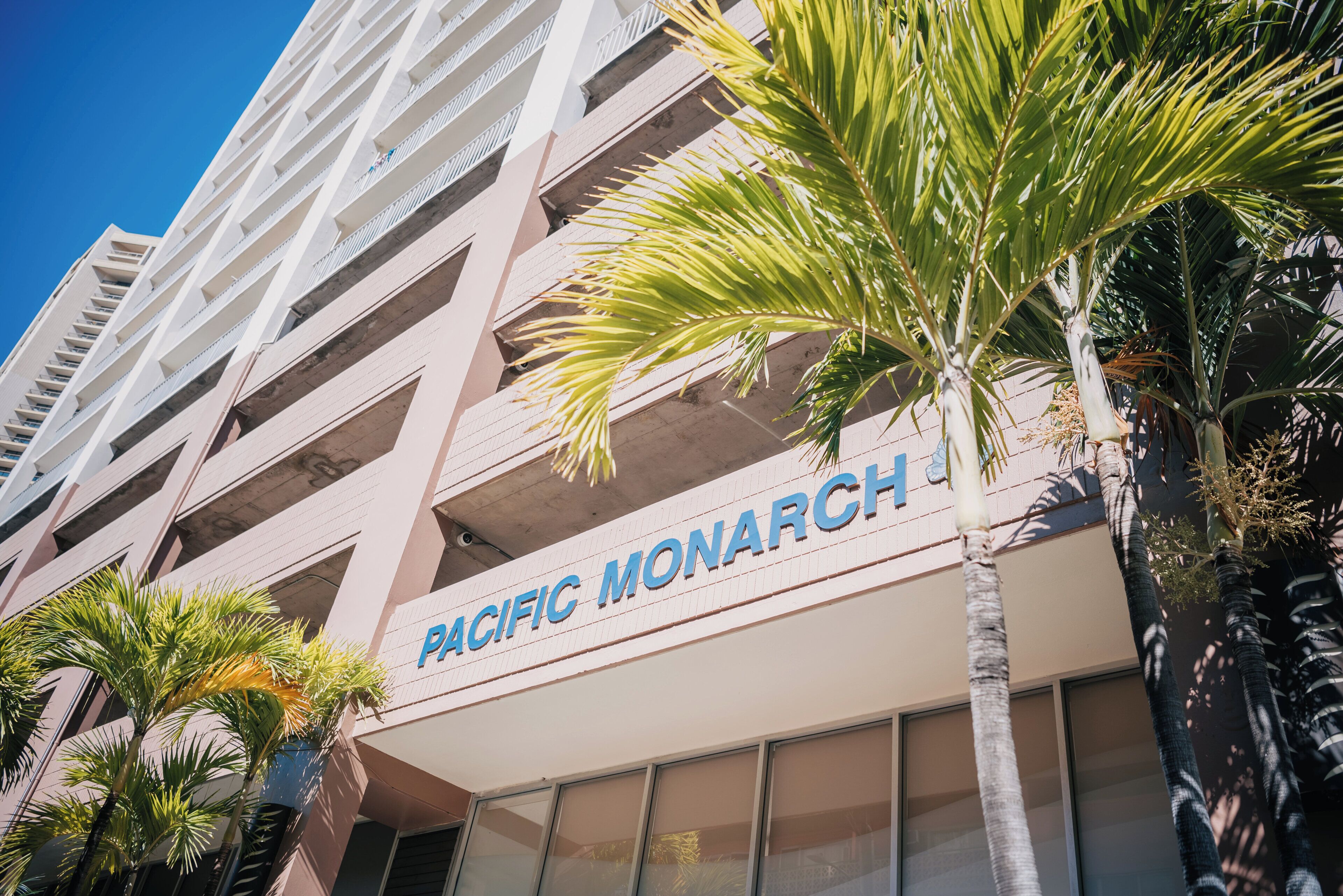 Foto - Pacific Monarch