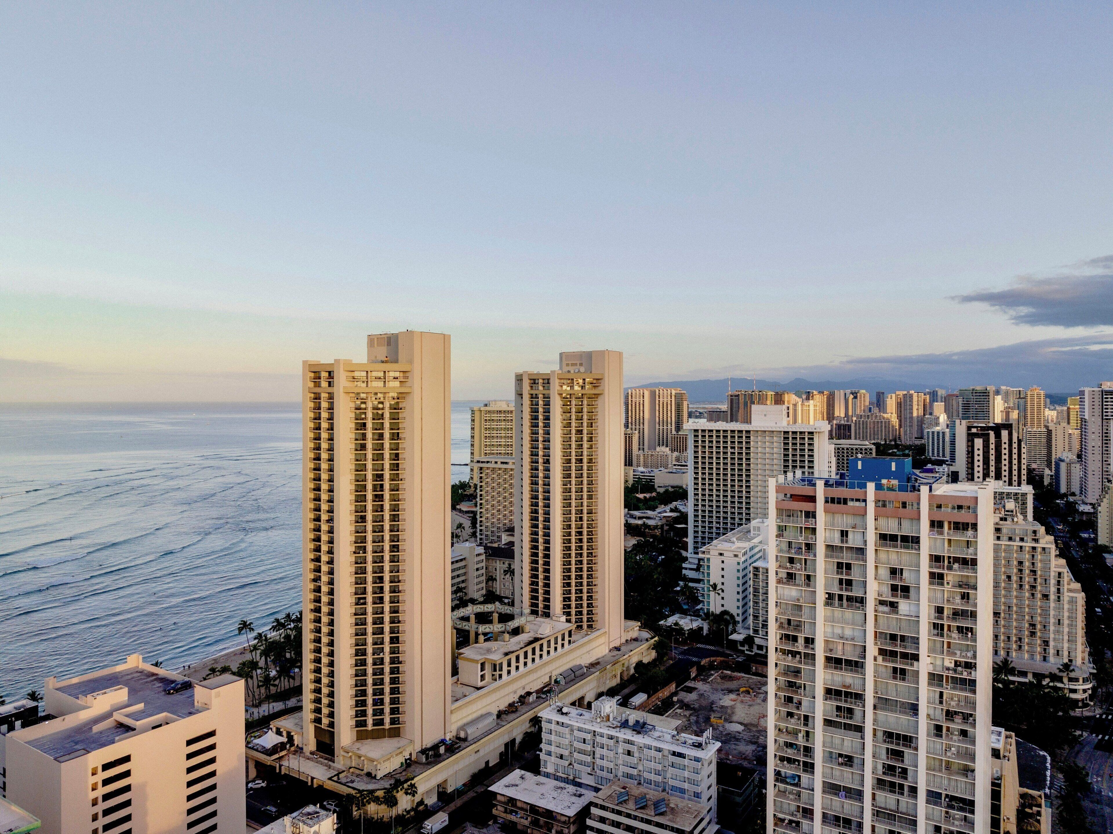 Foto - Pacific Monarch