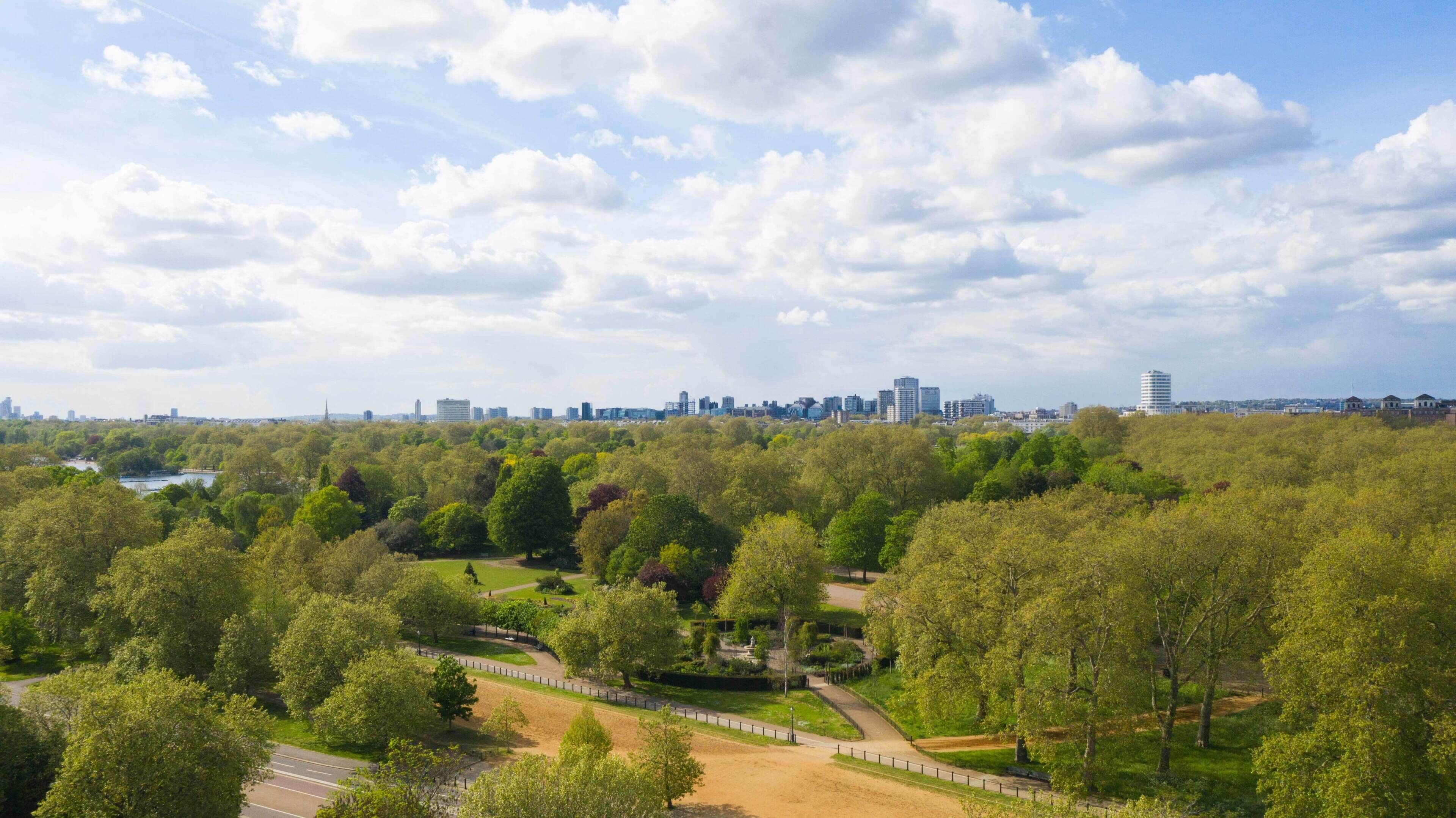 A park with pathways, a lake, and a city skyline in the background.