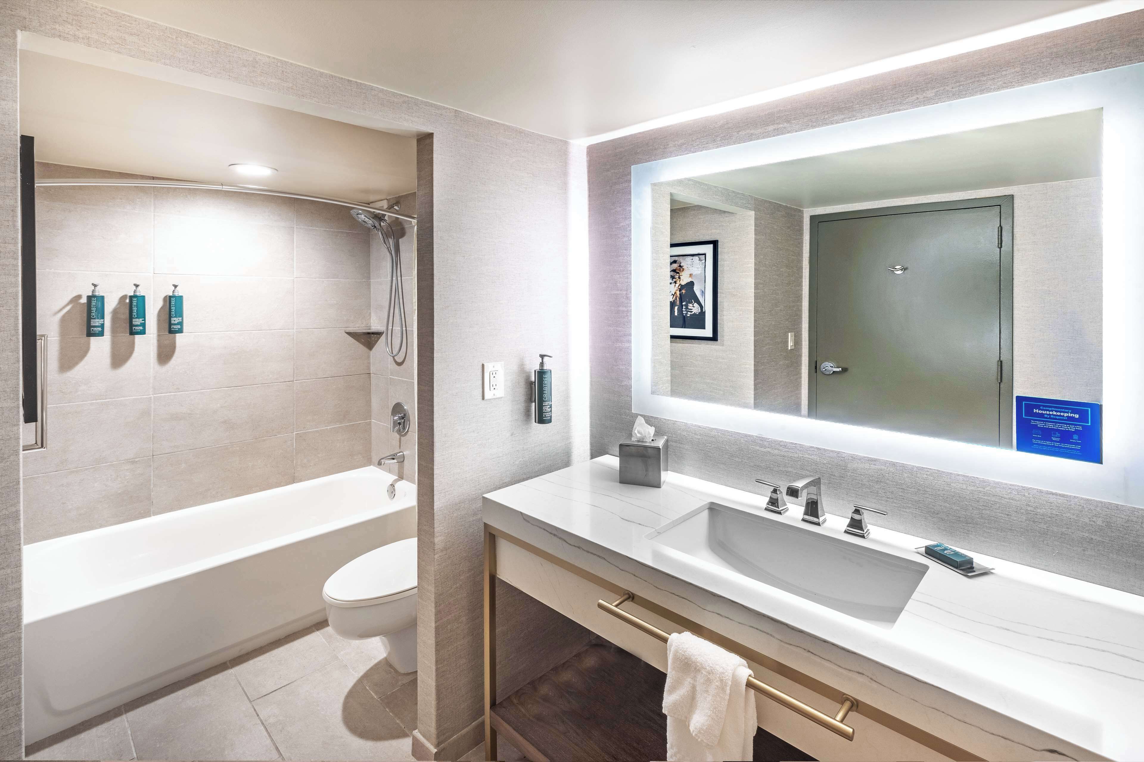 deluxe suite, 1 king bed (2 rooms) | bathroom | combined shower/bathtub, free toiletries, hair dryer, towels